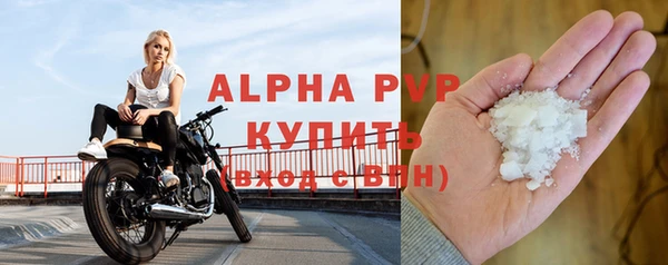 spice Осинники