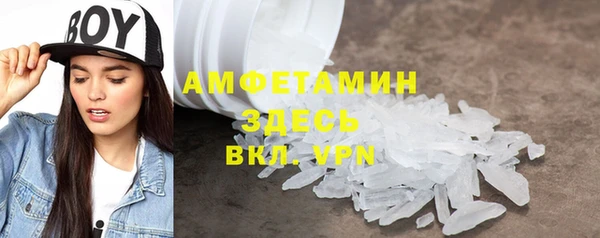 индика Нягань