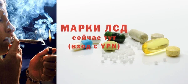 spice Осинники